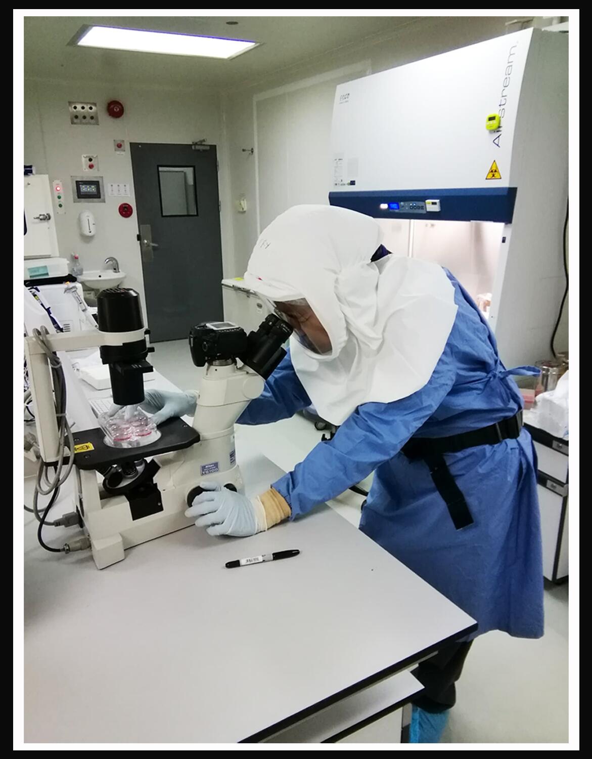 Research openscholar