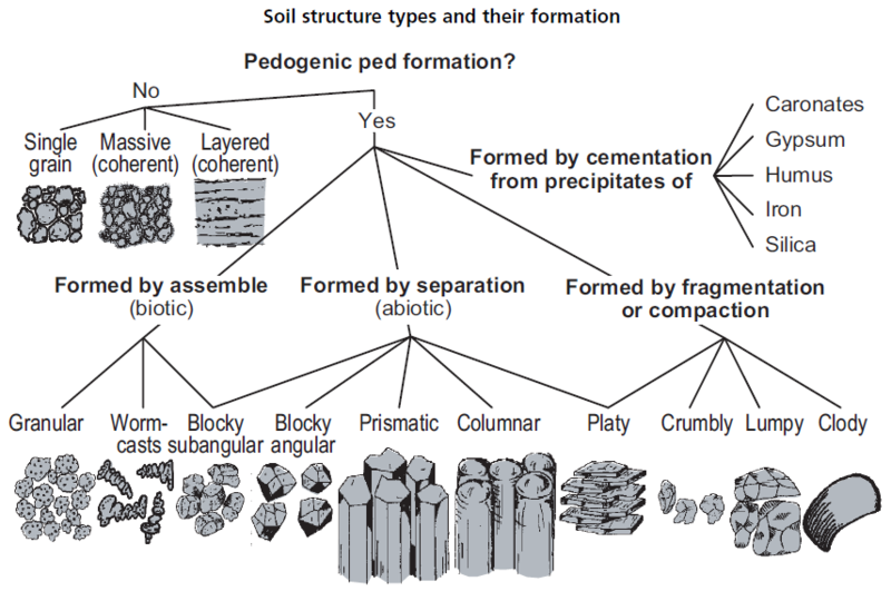 structure types