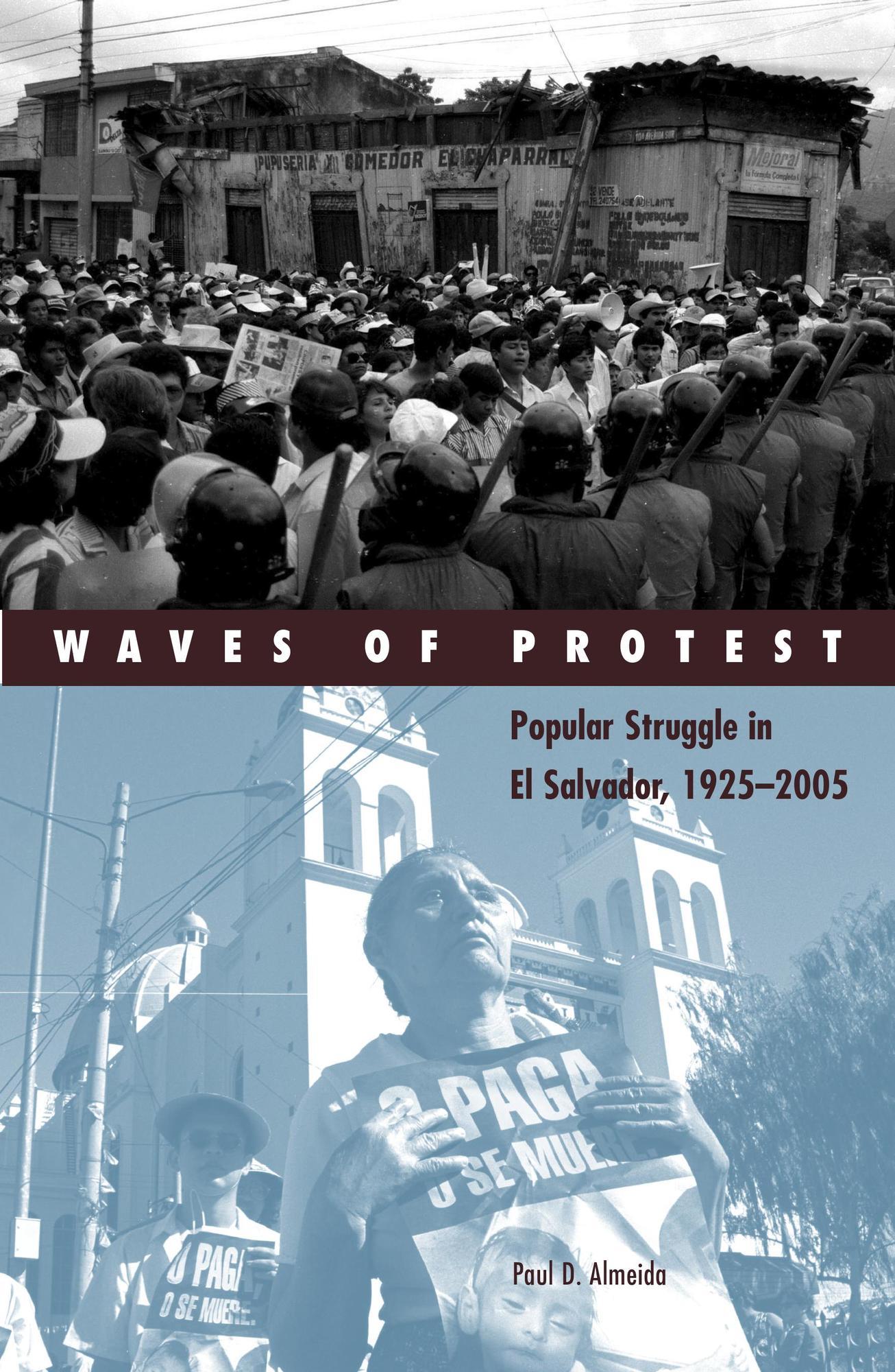 Waves of Protest book cover