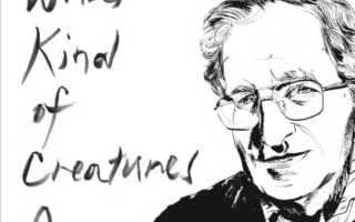 Chomsky interview