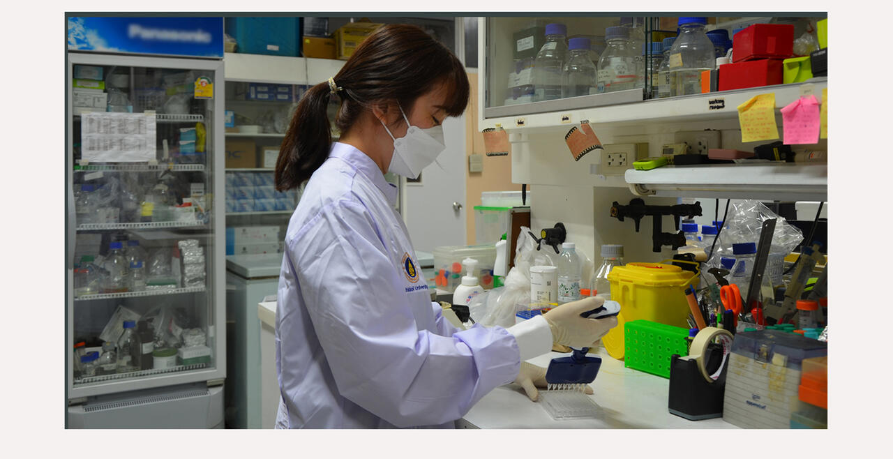 Student performing microplaque assay