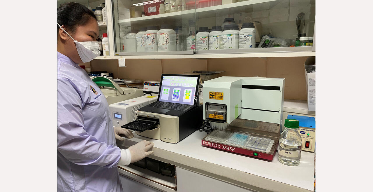 student performing ELISA