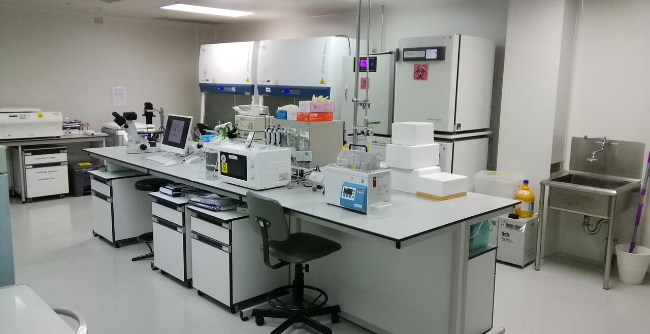 BSL3 Laboratory OpenScholar