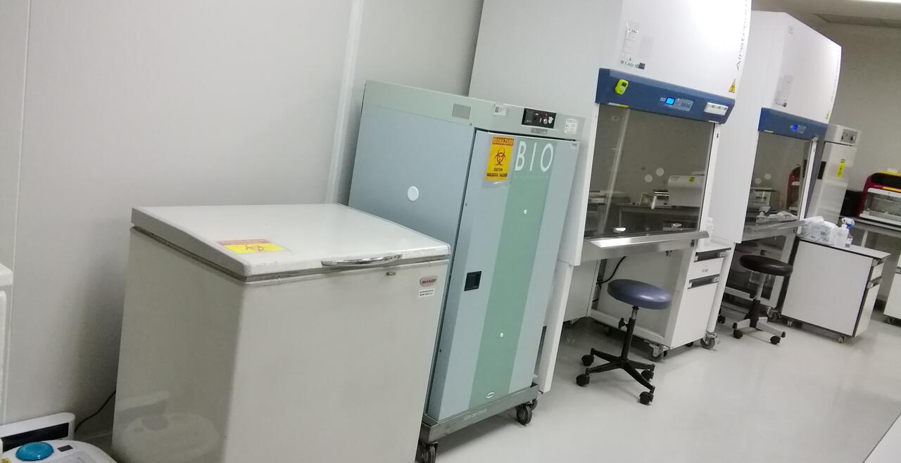 BSL-3 Laboratory | OpenScholar