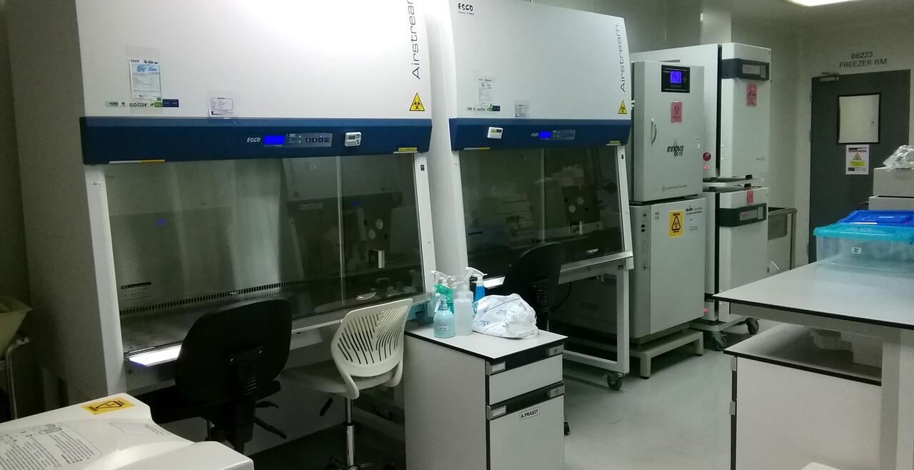 BSL3 Laboratory OpenScholar