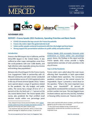 report cover