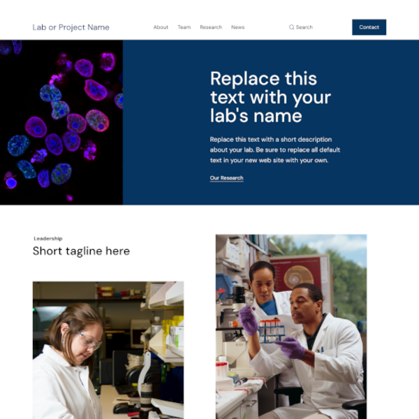 Modern Lab screenshot